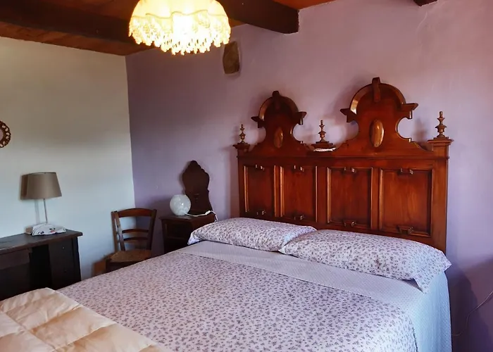 Vakantieboerderij Ca' D'alfieri *