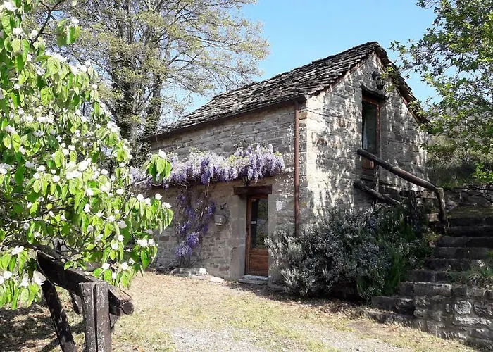 Vakantieboerderij Ca' D'alfieri *